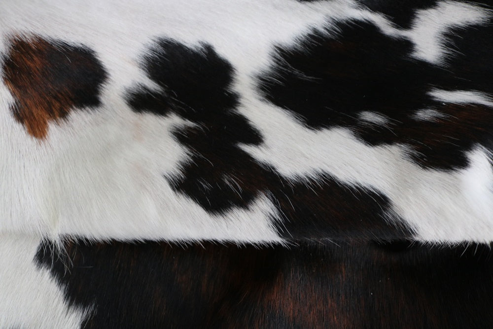 98027 - Cowhide Rug Tapis Peau de Vache SUPER BIG SIZE XXXL TRICOLOR - Collection Quebecuir Premium