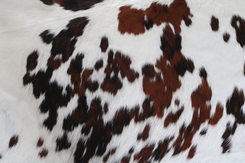 100079 Cowhide Rug Tricolor Tapis peau de vache. Quebecuir Premium Collection.