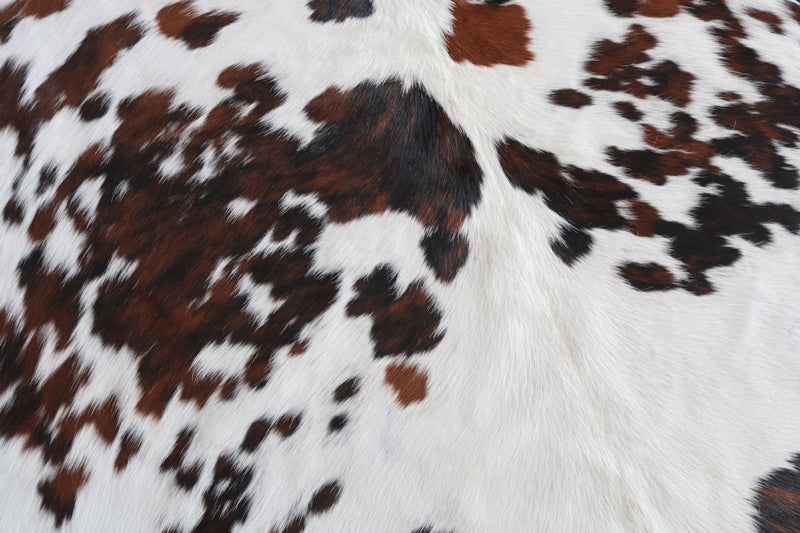 100079 Cowhide Rug Tricolor Tapis peau de vache. Quebecuir Premium Collection.