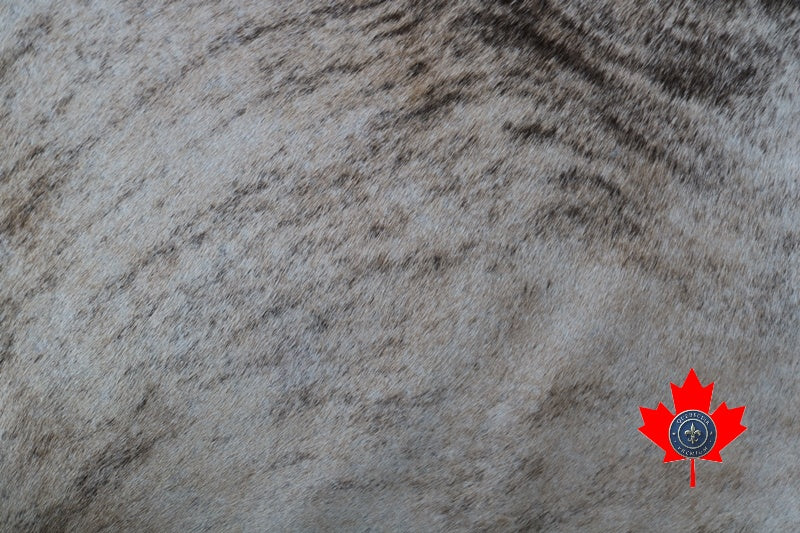 100070 Light Brindle Cowhide rug. Quebecuir Premium Collection