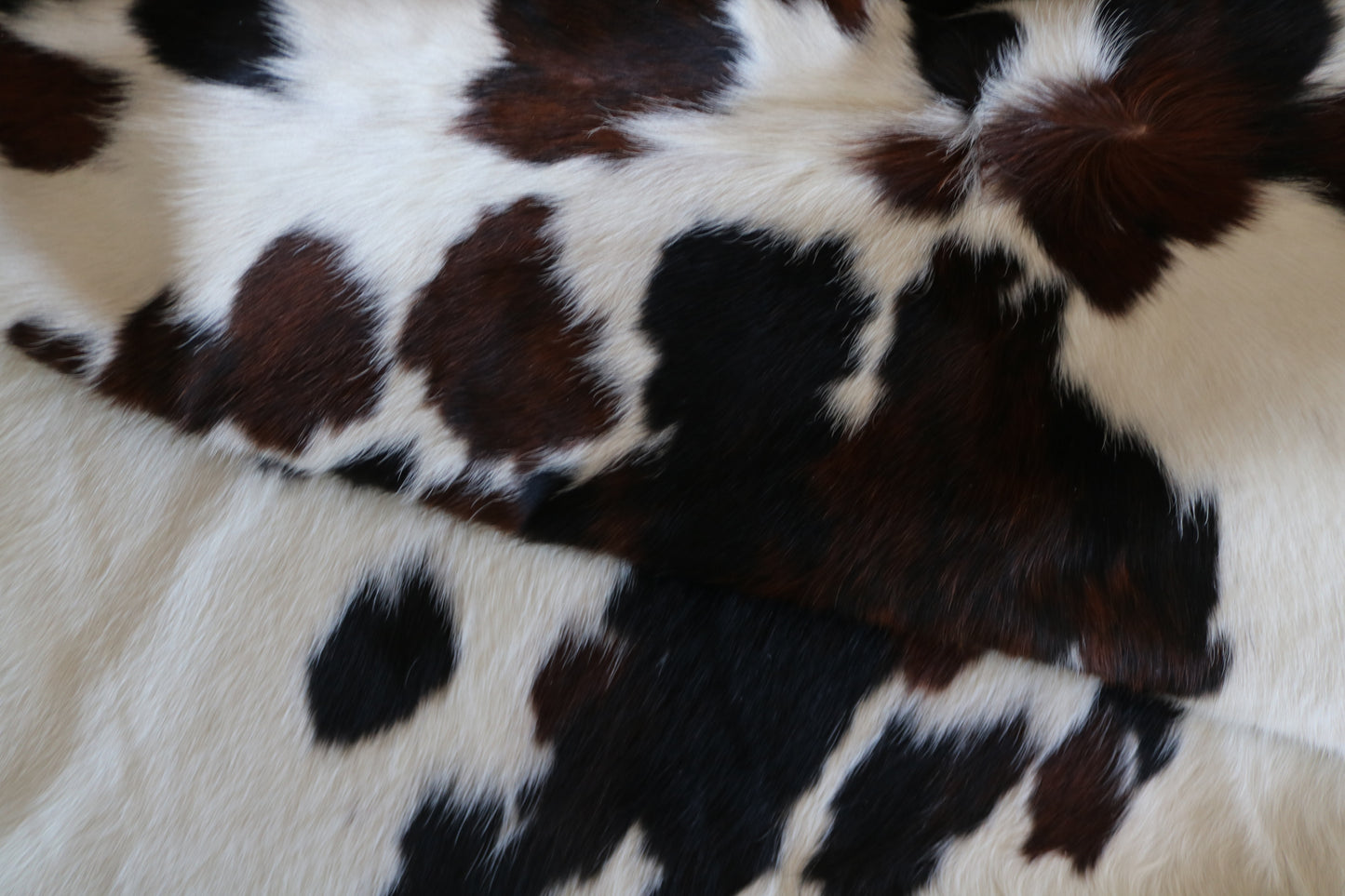 100222- SUPER BIG  SIZE XXXL TRICOLOR  Cowhide Rug - Quebecuir Premium Collection