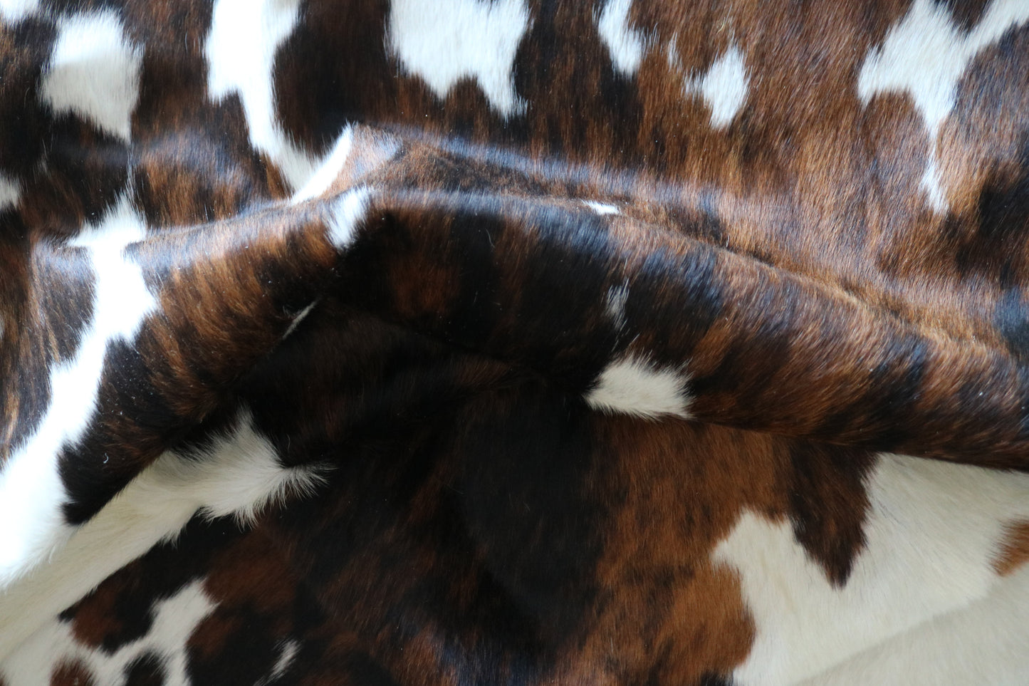 100223- SUPER BIG  SIZE XXXL TRICOLOR  Cowhide Rug - Quebecuir Premium Collection