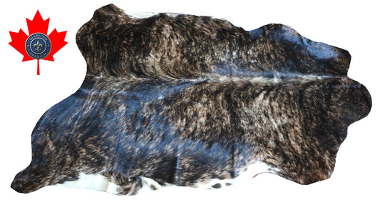 100224-  TRICOLOR  Cowhide Rug - Quebecuir Premium Collection