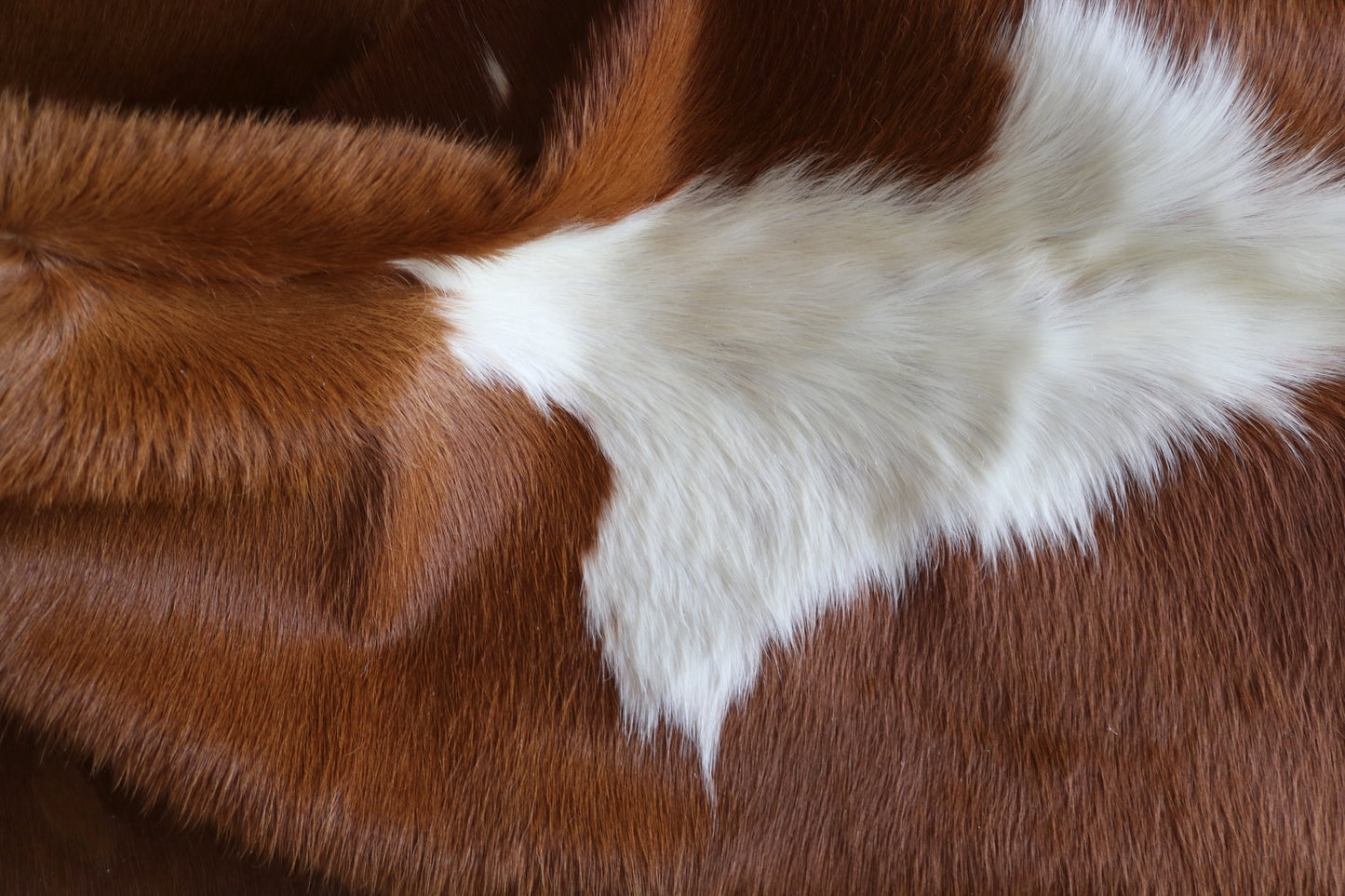 100225 brown & white  Cowhide Rug - Quebecuir Premium Collection