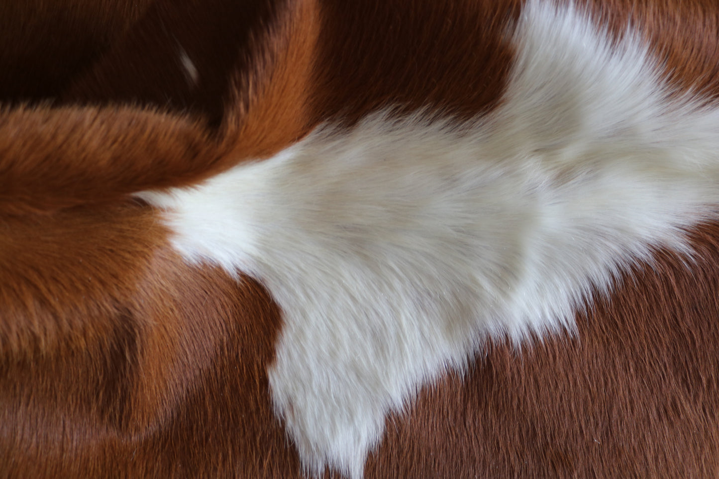100225 brown & white  Cowhide Rug - Quebecuir Premium Collection