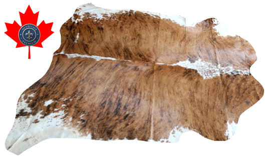 100227 -  TRICOLOR  Cowhide Rug - Quebecuir Premium Collection