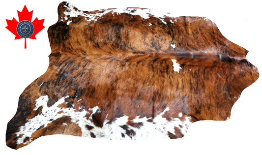 100228 -  TRICOLOR  Cowhide Rug - Quebecuir Premium Collection