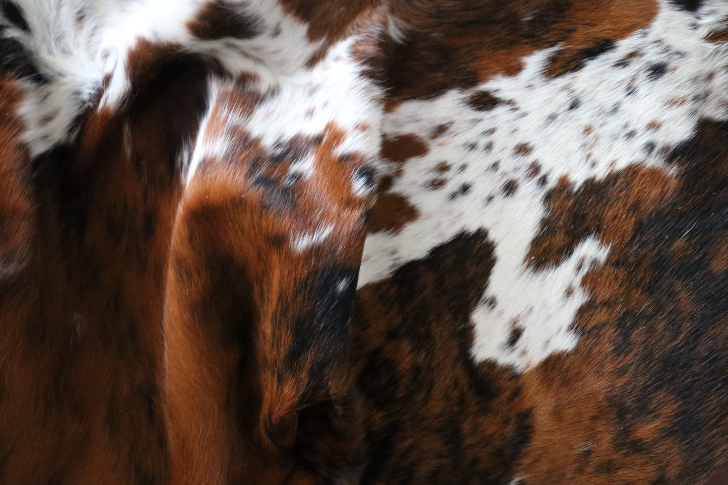 100228 -  TRICOLOR  Cowhide Rug - Quebecuir Premium Collection