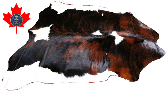 100229 -  TRICOLOR  Cowhide Rug - Quebecuir Premium Collection