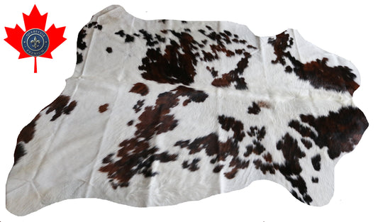 100230 -  TRICOLOR  Cowhide Rug - Quebecuir Premium Collection