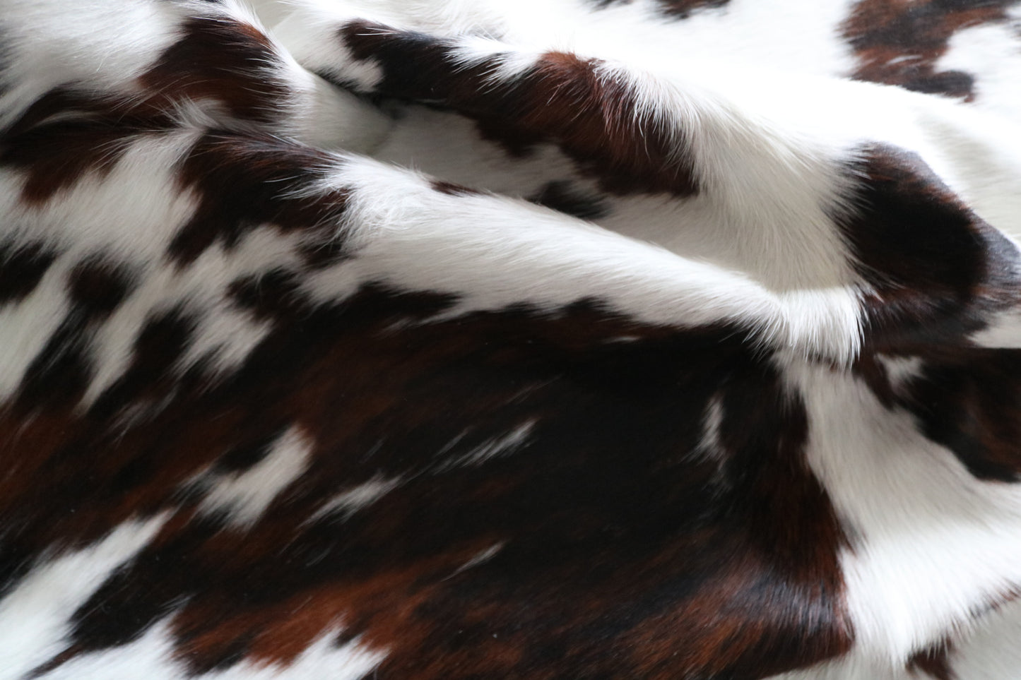 100230 -  TRICOLOR  Cowhide Rug - Quebecuir Premium Collection