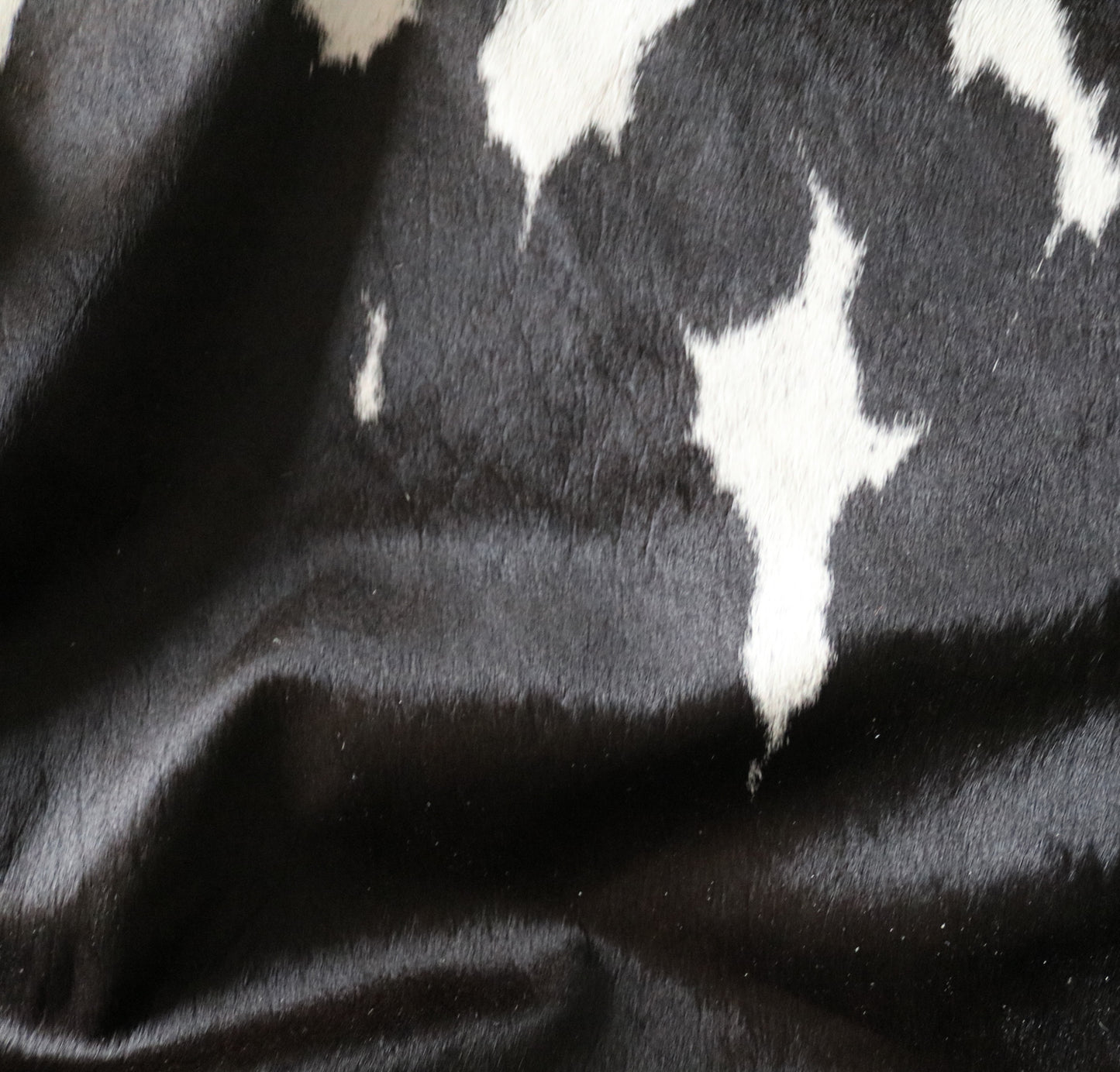 200611 -  TRICOLOR  Cowhide Rug - Quebecuir Premium Collection