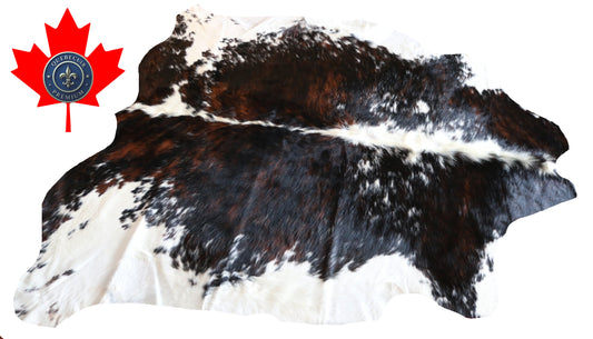 100232 -  TRICOLOR  Cowhide Rug - Quebecuir Premium Collection