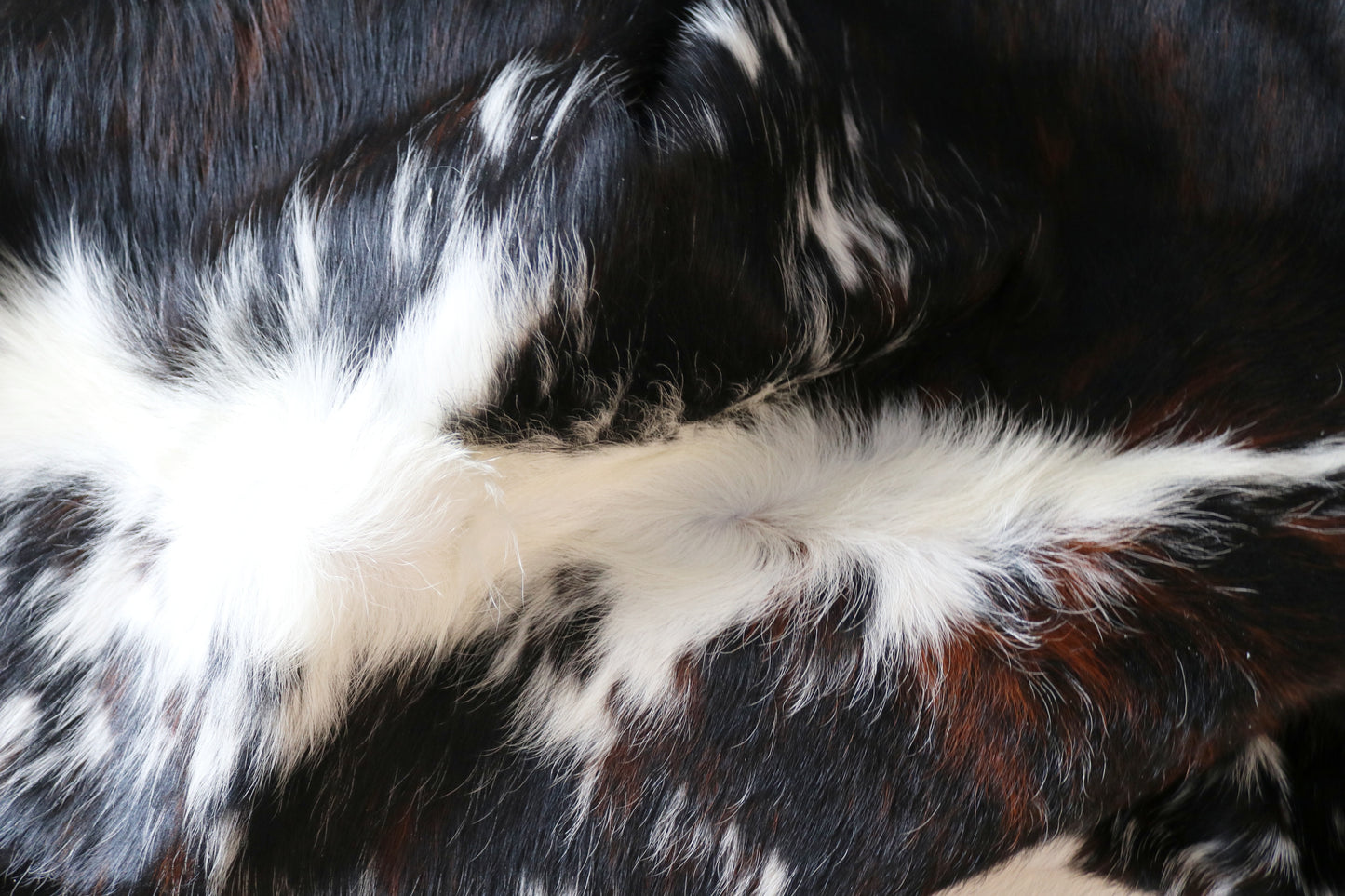 100232 -  TRICOLOR  Cowhide Rug - Quebecuir Premium Collection