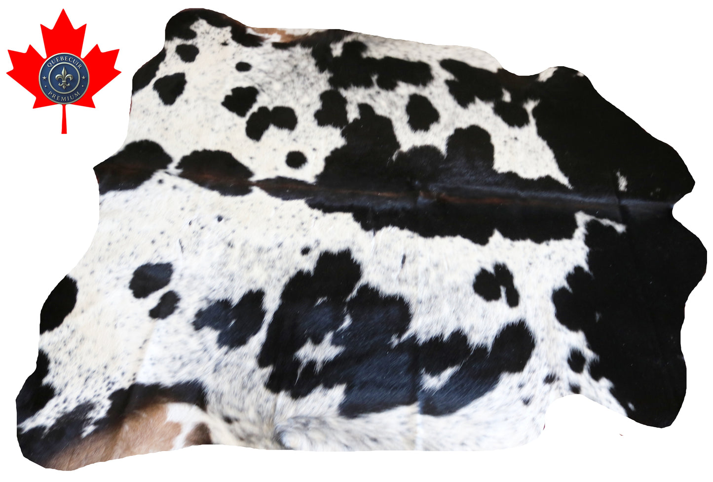 100233 -  TRICOLOR  Cowhide Rug - Quebecuir Premium Collection