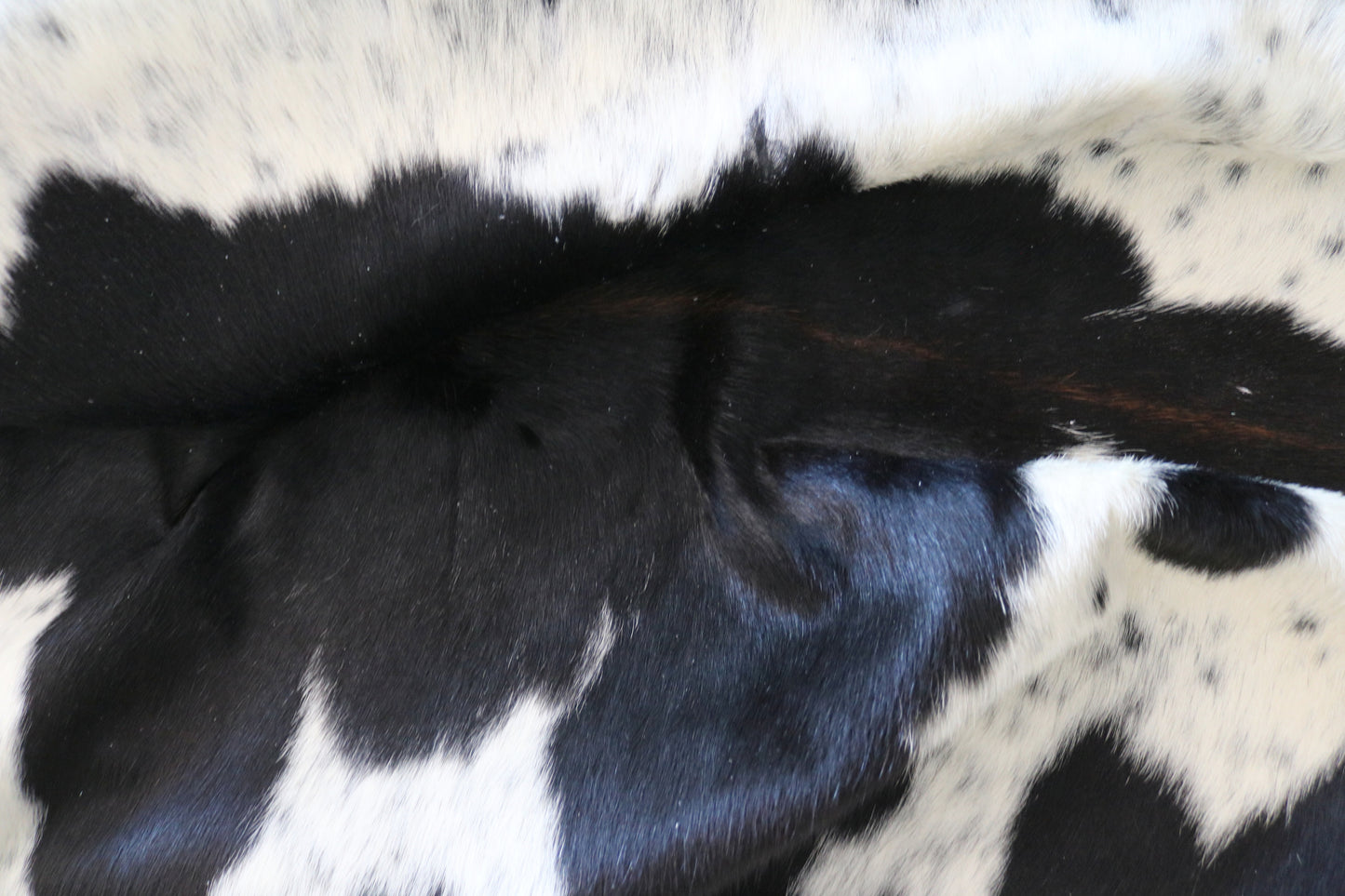 100233 -  TRICOLOR  Cowhide Rug - Quebecuir Premium Collection