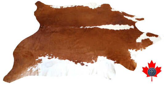 98851- Cowhide Rug Tapis Peau de Vache  SUPER BIG SIZE XXXL -  Collection Quebecuir Premium
