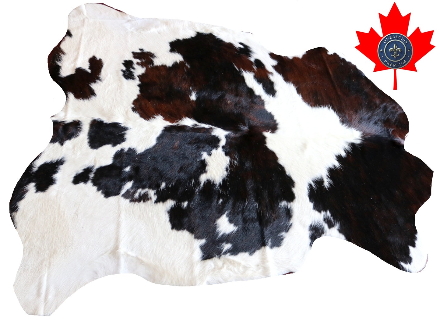 100235 -  TRICOLOR  Cowhide Rug - Quebecuir Premium Collection