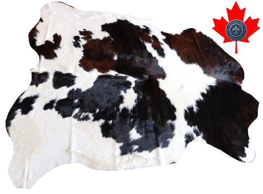 100235 -  TRICOLOR  Cowhide Rug - Quebecuir Premium Collection