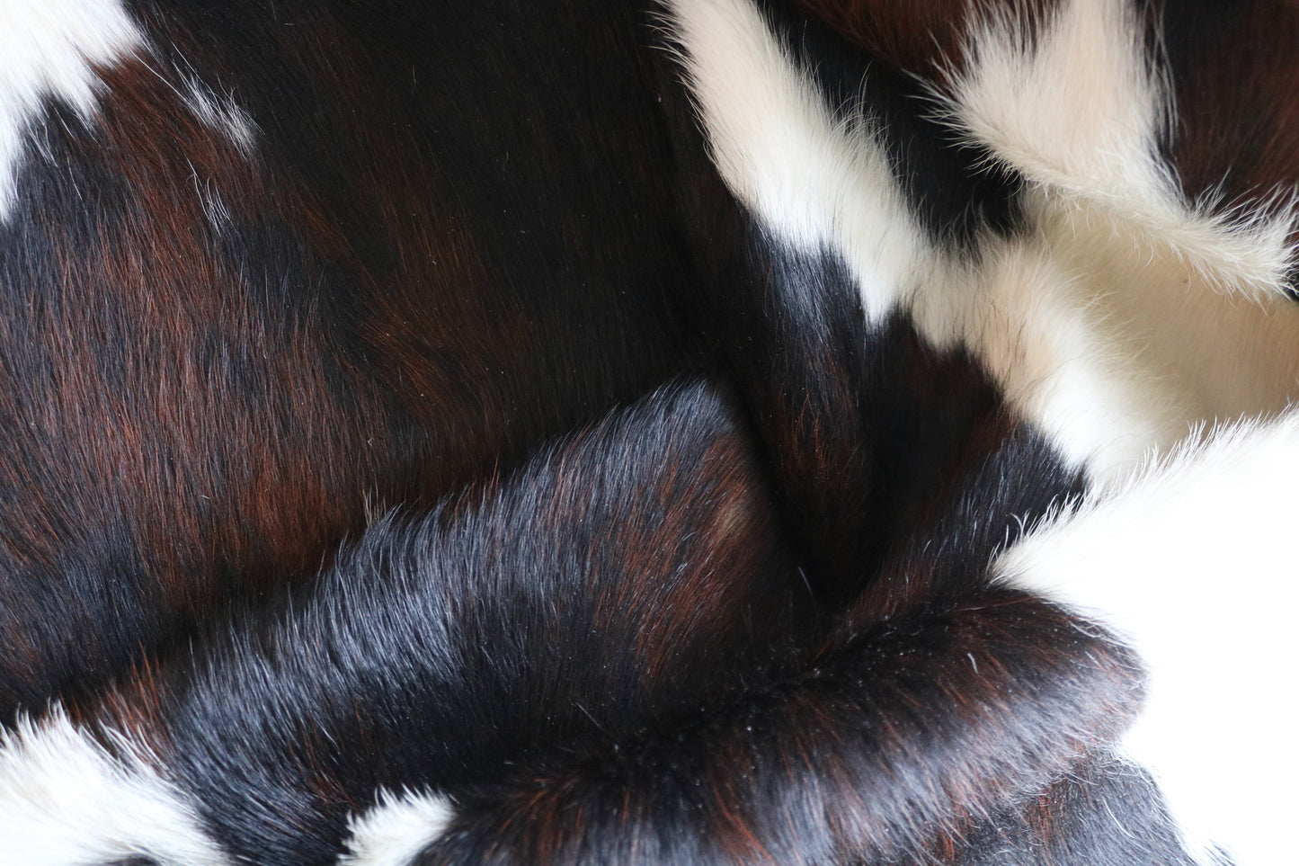 100235 -  TRICOLOR  Cowhide Rug - Quebecuir Premium Collection