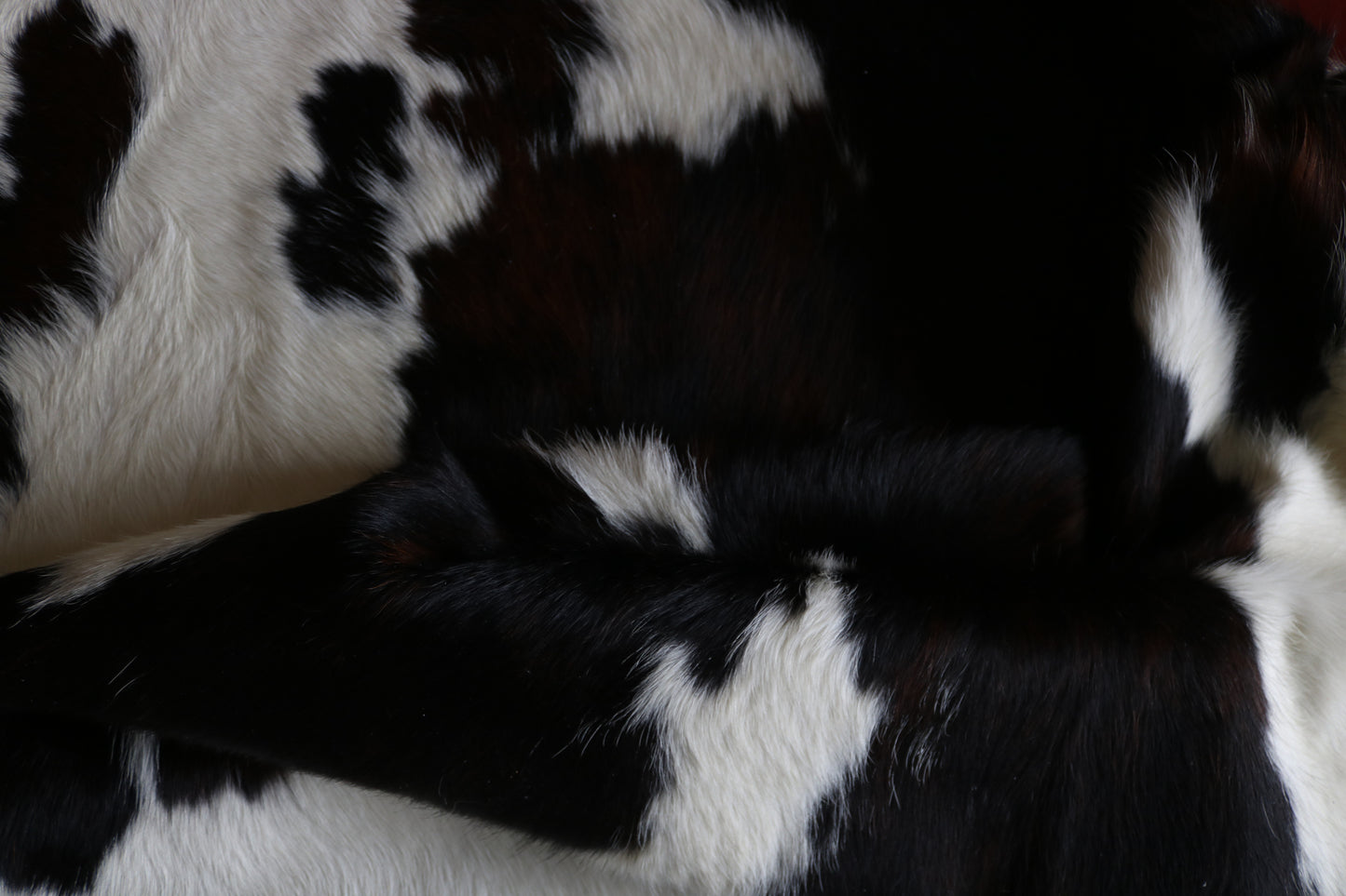 100235 -  TRICOLOR  Cowhide Rug - Quebecuir Premium Collection