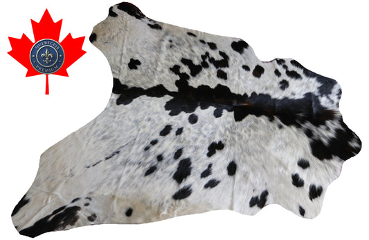 100237 -  TRICOLOR  Cowhide Rug - Quebecuir Premium Collection