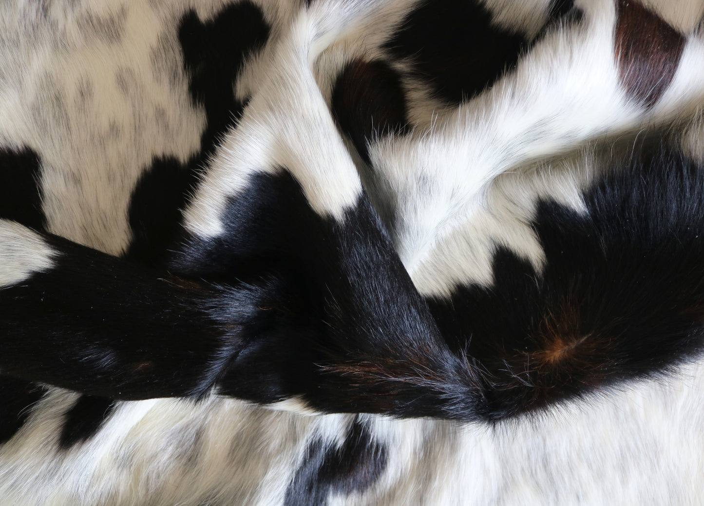 100237 -  TRICOLOR  Cowhide Rug - Quebecuir Premium Collection