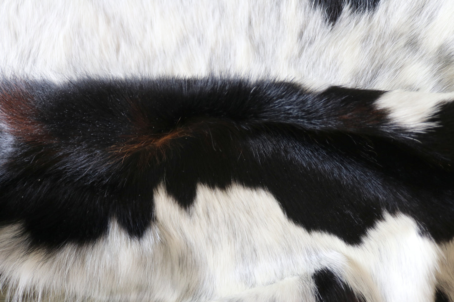 100237 -  TRICOLOR  Cowhide Rug - Quebecuir Premium Collection