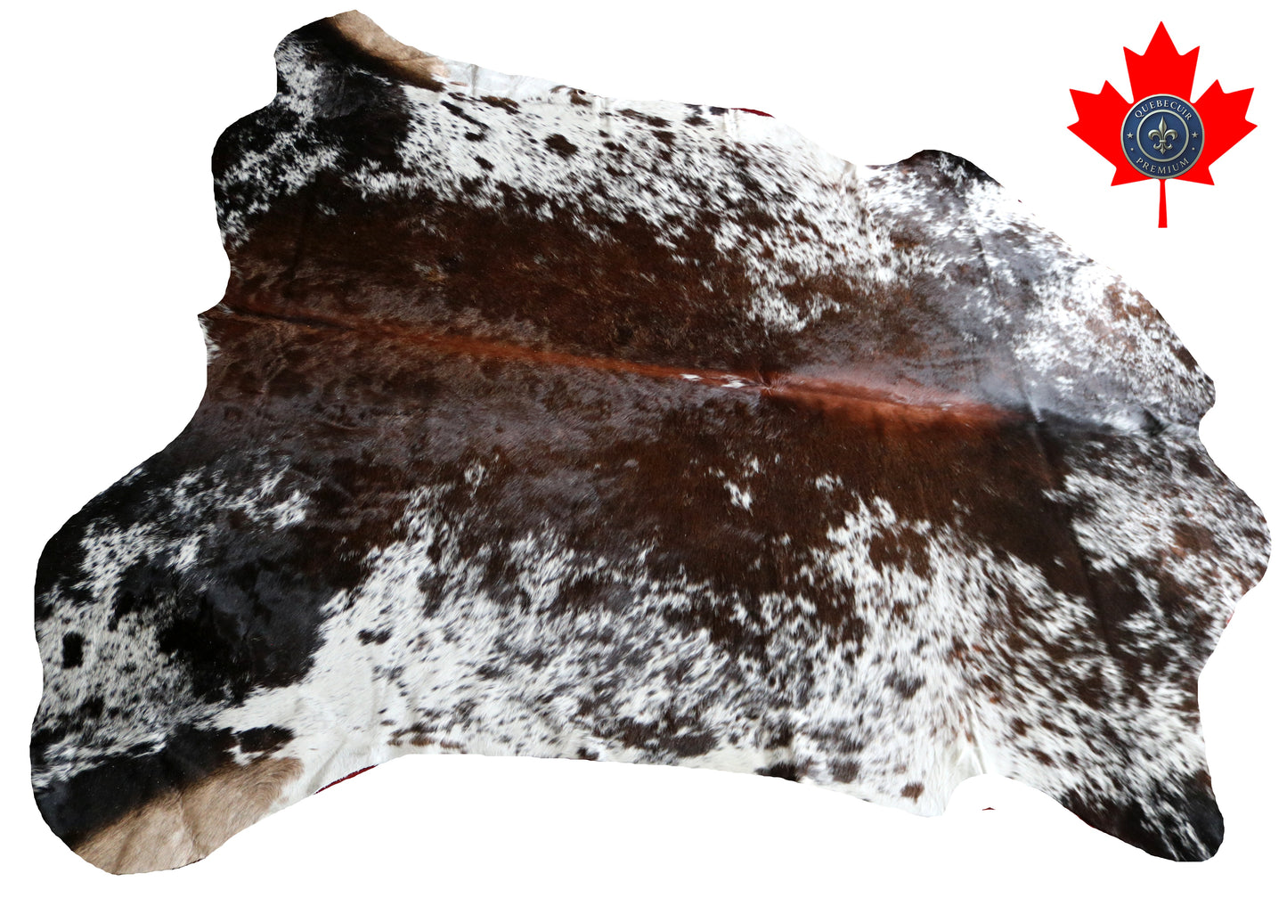 100239 - SUPER BIG  SIZE XXXL TRICOLOR  Cowhide Rug - Quebecuir Premium Collection