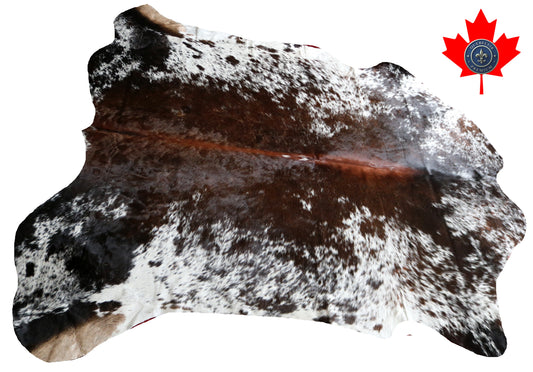 100239 - SUPER BIG  SIZE XXXL TRICOLOR  Cowhide Rug - Quebecuir Premium Collection
