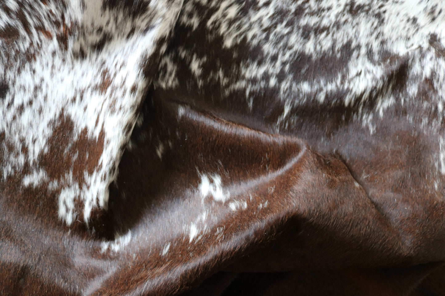 100239 - SUPER BIG  SIZE XXXL TRICOLOR  Cowhide Rug - Quebecuir Premium Collection