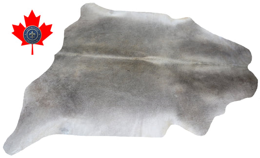 98858- Cowhide Rug Tapis Peau de Vache   GREY GRIS BIG SIZE XXL -  Collection Quebecuir Premium