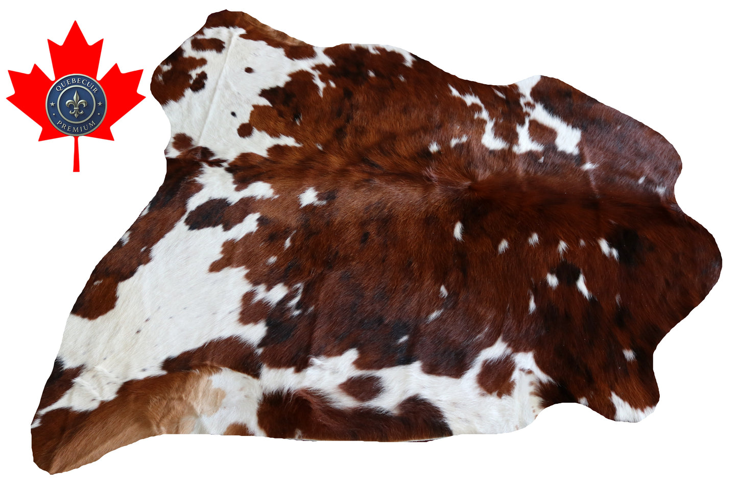 100241 -  TRICOLOR  Cowhide Rug - Quebecuir Premium Collection