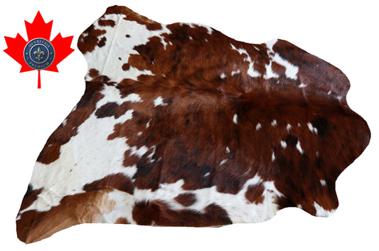 100241 -  TRICOLOR  Cowhide Rug - Quebecuir Premium Collection