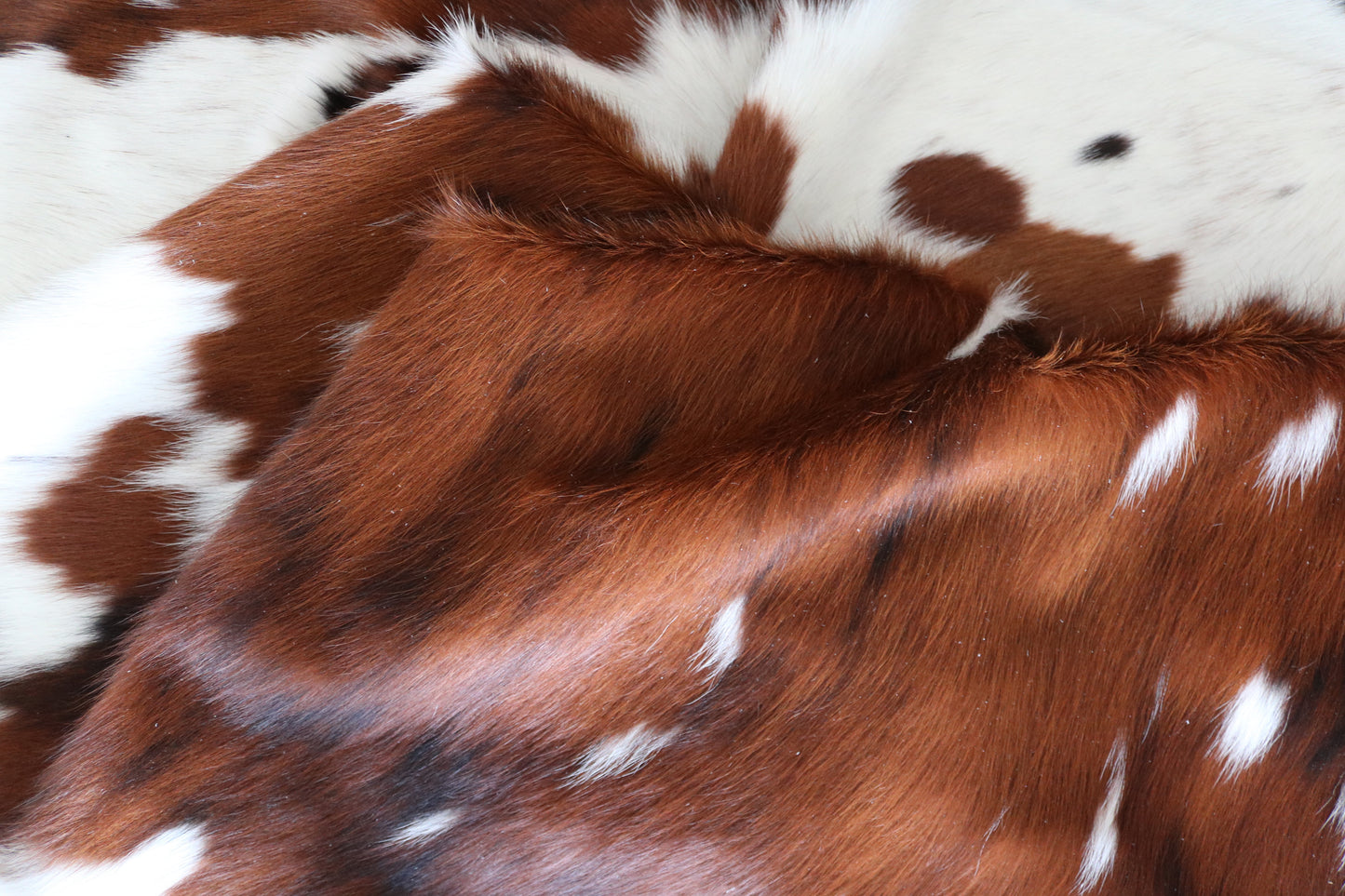 100241 -  TRICOLOR  Cowhide Rug - Quebecuir Premium Collection