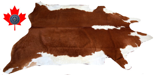 98864- Cowhide Rug Tapis Peau de Vache  SUPER BIG SIZE XXXL -  Collection Quebecuir Premium