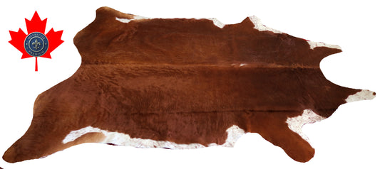 98867- Cowhide Rug Tapis Peau de Vache  SUPER BIG SIZE XXXL -  Collection Quebecuir Premium