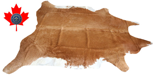 98872- Cowhide Rug Tapis Peau de Vache  SUPER BIG SIZE XXXL -  Collection Quebecuir Premium