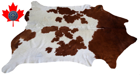 98881- Cowhide Rug Tapis Peau de Vache  SUPER BIG SIZE XXXL -  Collection Quebecuir Premium
