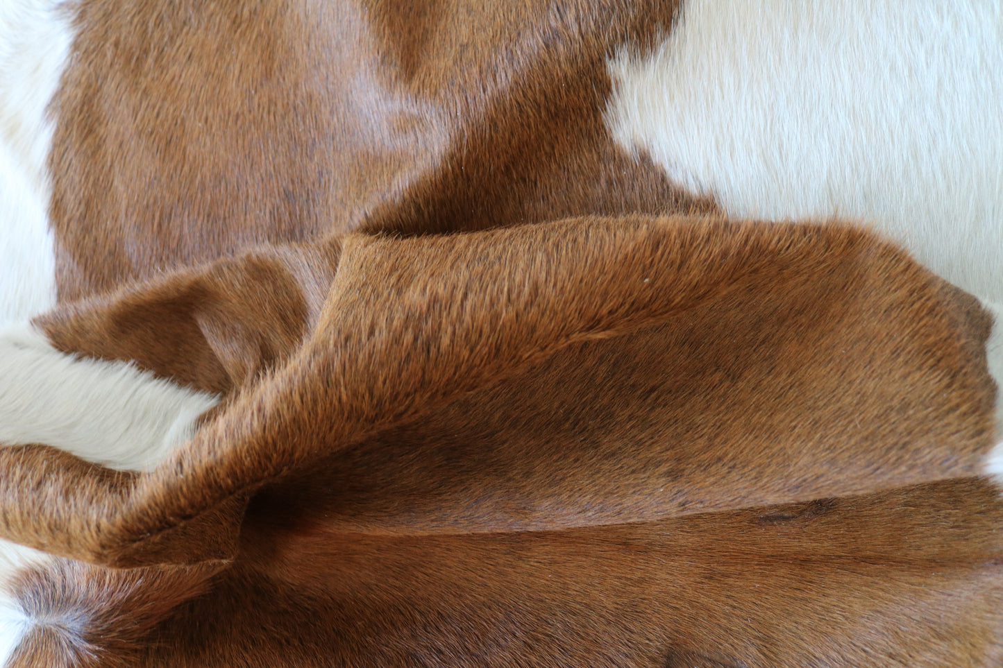 200614 -   Cowhide Rug - Quebecuir Premium Collection