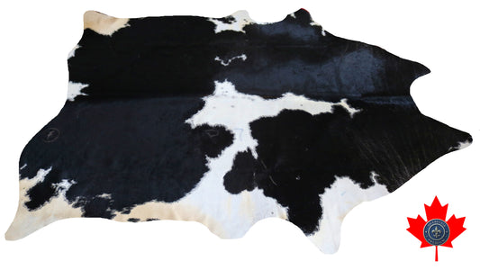 98885- Cowhide Rug Tapis Peau de Vache   -  Collection Quebecuir Premium