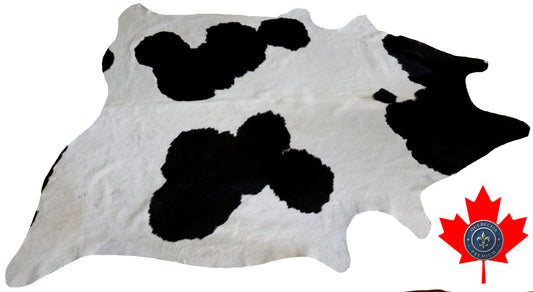 98888- Cowhide Rug Tapis Peau de Vache   -  Collection Quebecuir Premium