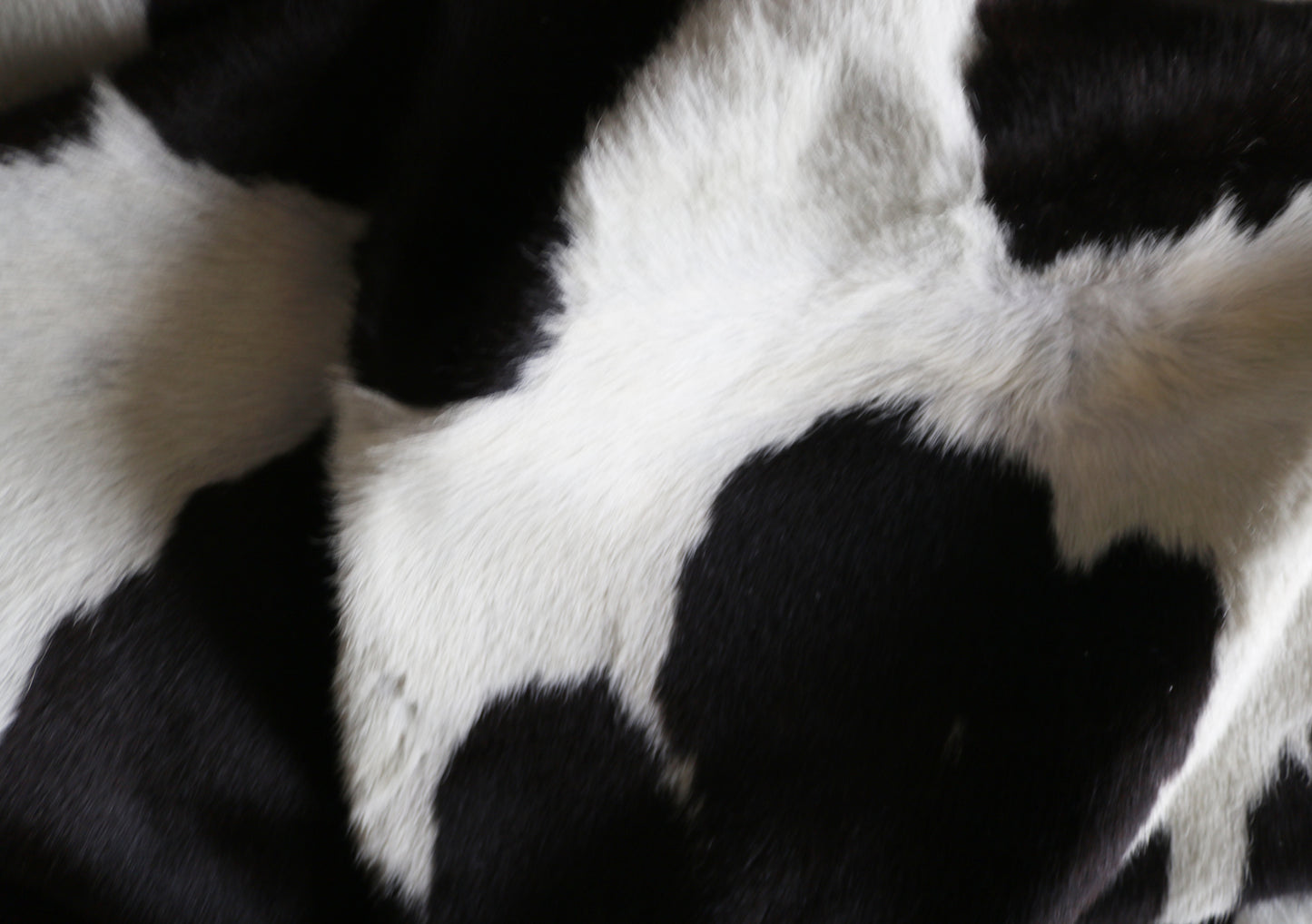 200618 -   Cowhide Rug - Quebecuir Premium Collection