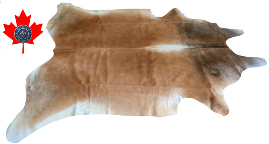 98893- Cowhide Rug Tapis Peau de Vache  SUPER BIG SIZE XXXL -  Collection Quebecuir Premium