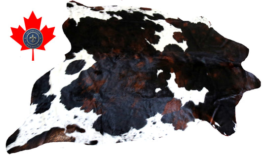 98895- Cowhide Rug Tapis Peau de Vache TRICOLOR   SUPER BIG SIZE XXXL -  Collection Quebecuir Premium