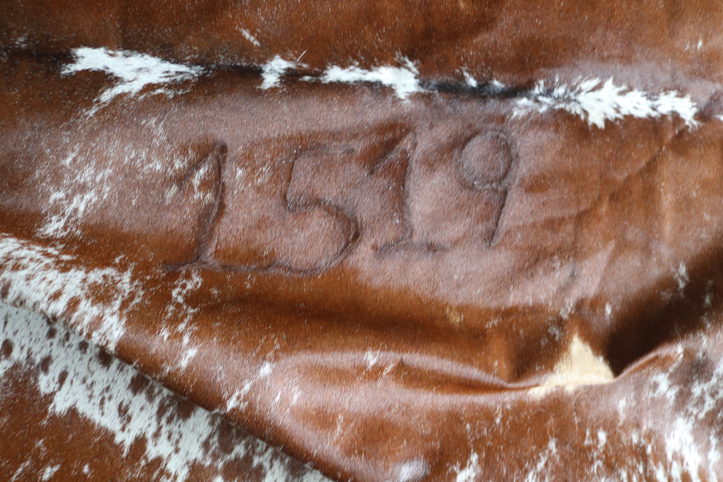 200620 -TRICOLOR  Cowhide Rug - Quebecuir Premium Collection