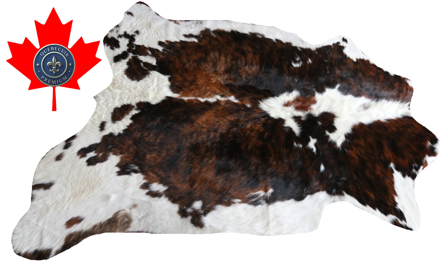 200621 -TRICOLOR  Cowhide Rug - Quebecuir Premium Collection