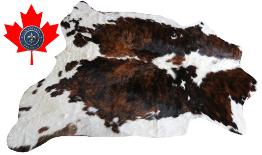 200621 -TRICOLOR  Cowhide Rug - Quebecuir Premium Collection