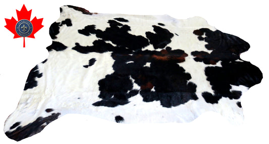 98896- Cowhide Rug Tapis Peau de Vache TRICOLOR   SUPER BIG SIZE XXXL -  Collection Quebecuir Premium