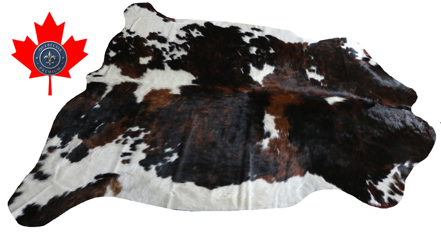 200622 -TRICOLOR  Cowhide Rug - Quebecuir Premium Collection